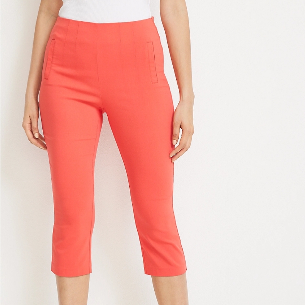 Time and Tru Capris XXL (20)